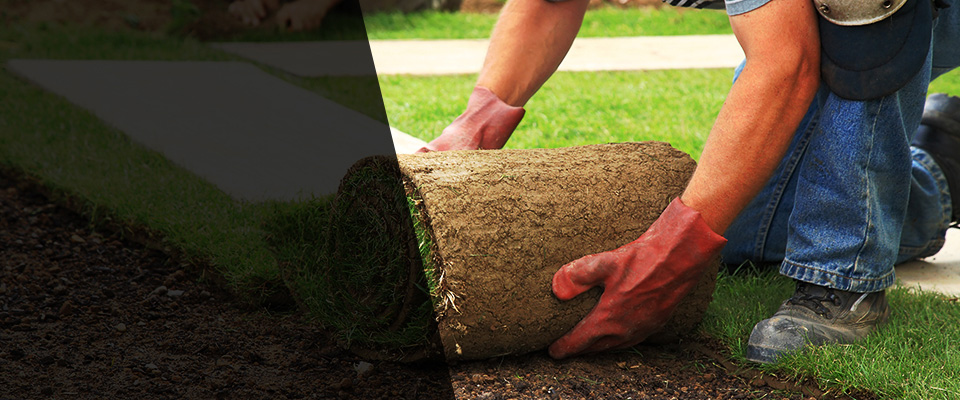 Lakeside Marblehead Landscapers